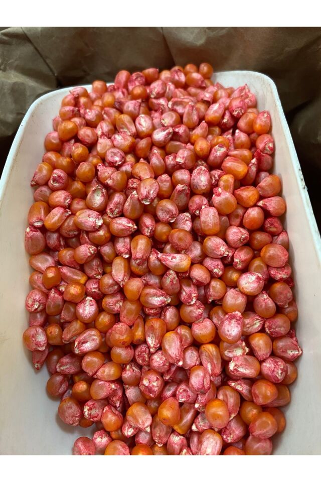 Yerli Doğal Süt Mısır Haşlama Közleme 250gr Tohum (tartılıp başka ambalajda gönderilir)