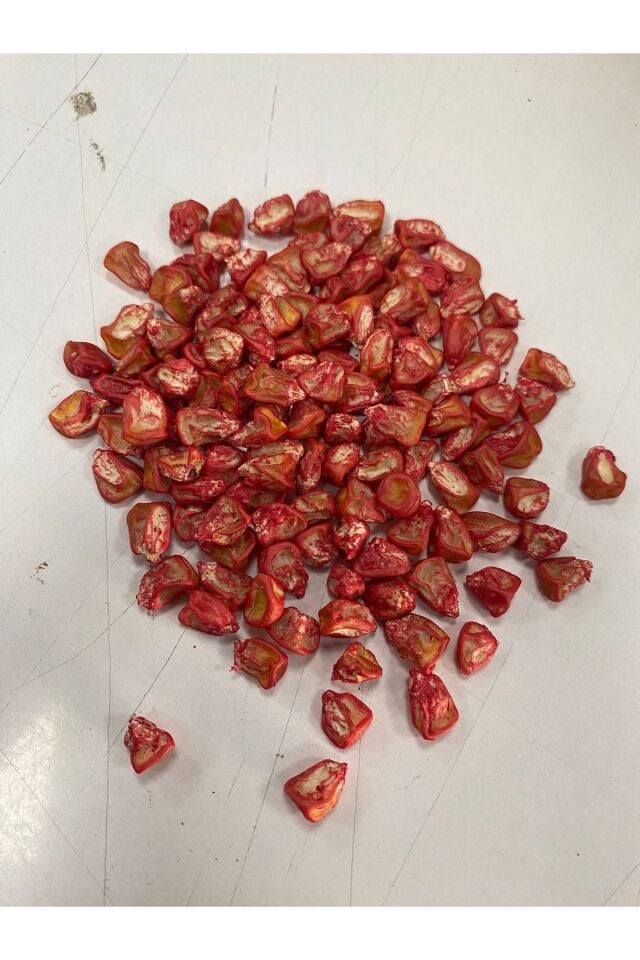 Vega Tatlı Mısır Tohumu Şeker Mısır Haşlamalı Mısır 50 adet