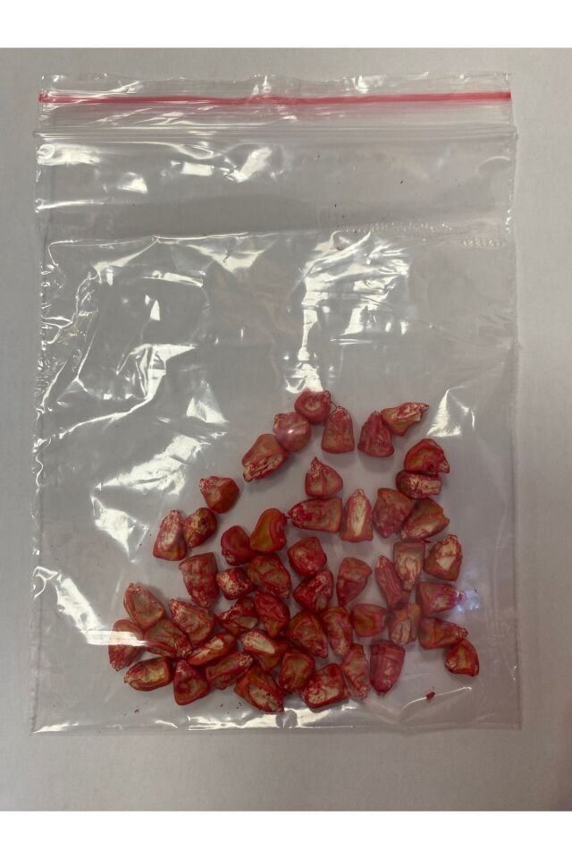 Vega Tatlı Mısır Tohumu Şeker Mısır Haşlamalı Mısır 50 adet