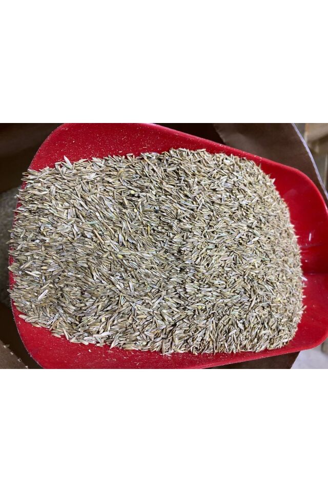 6' lı karışım ithal çim tohumu 1 kg bölünüp başka ambalajda gönderilecektir.