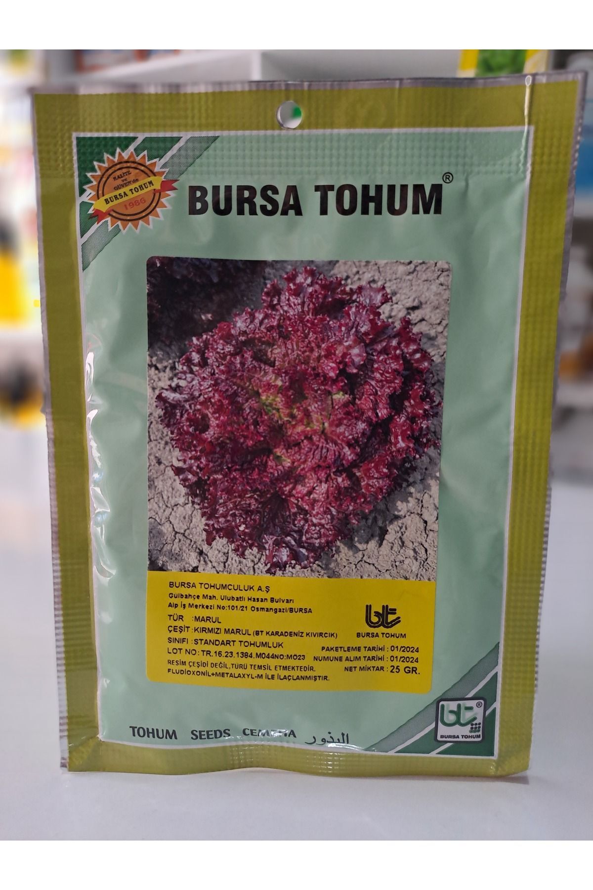 Kırmızı Kıvırcık Marul Tohumu