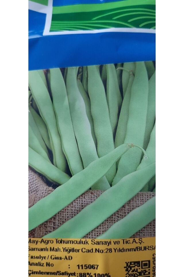 May Gina Bodur(OTURAK) Fasulye Ipliksiz Etli Tohum - 1 Kg