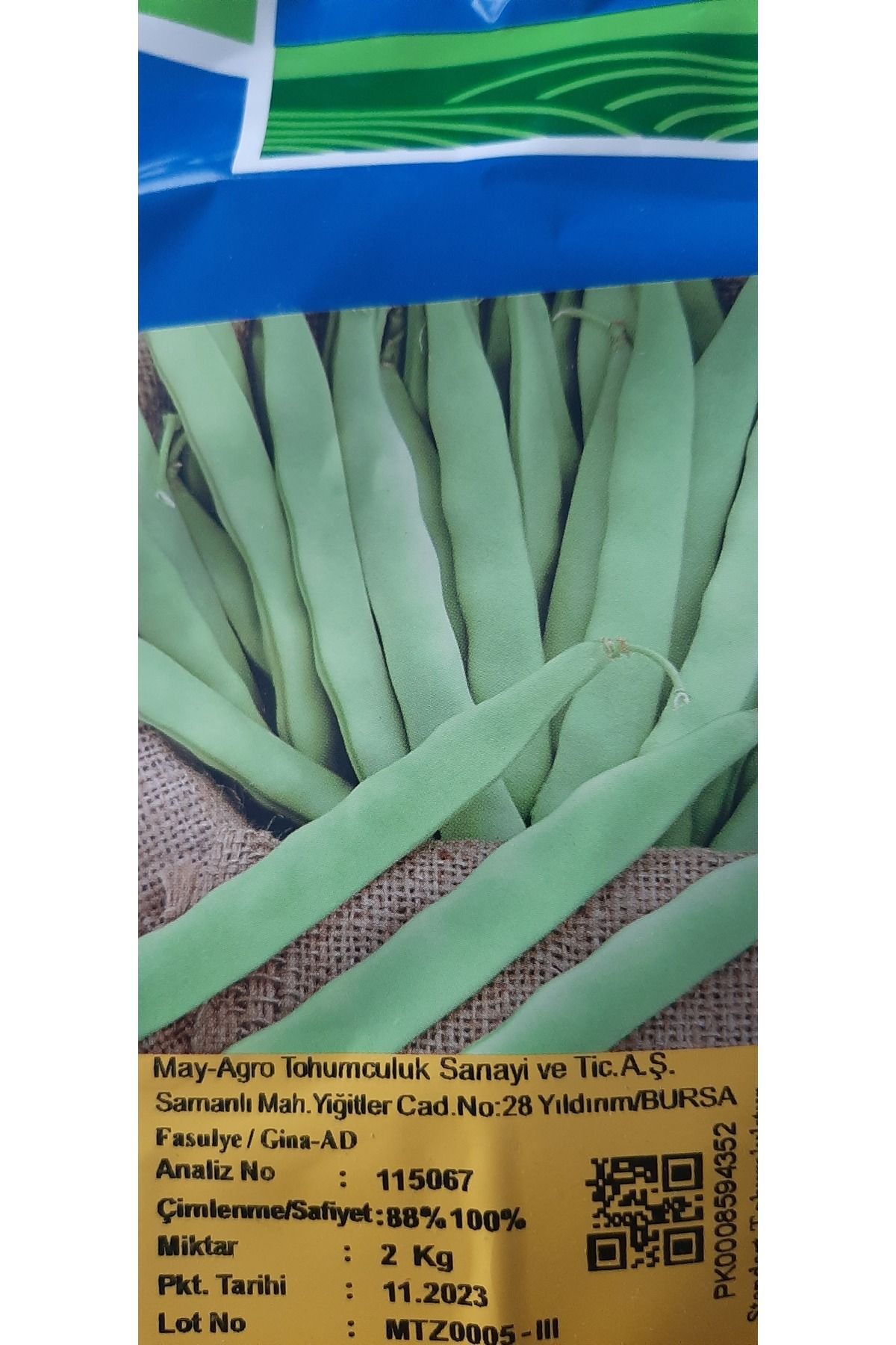 May Gina Bodur(OTURAK) Fasulye Ipliksiz Etli Tohum - 1 Kg