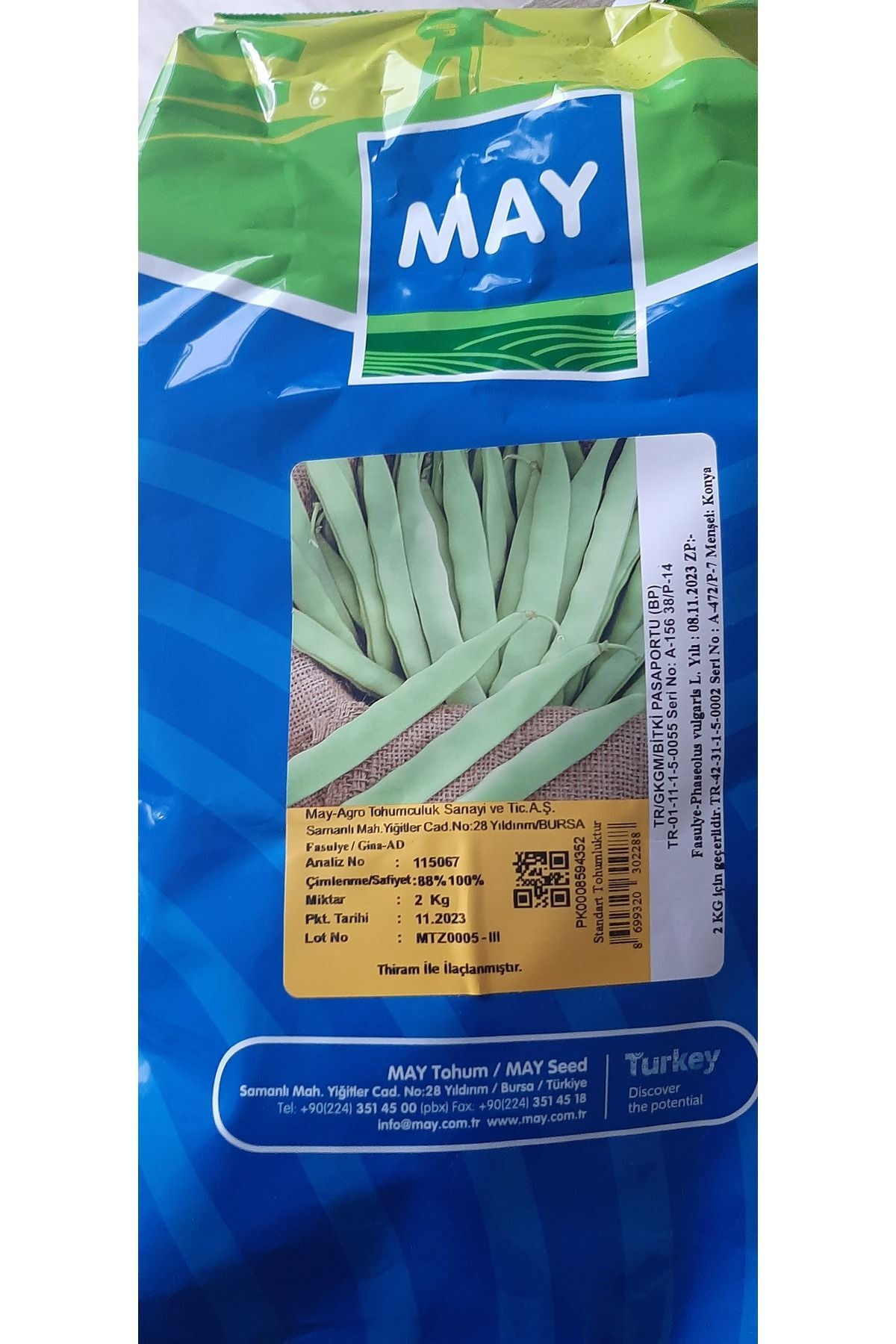 May Gina Oturak (BODUR)fasulye Tohumu Ipliksiz Etli Tohum- 500gr