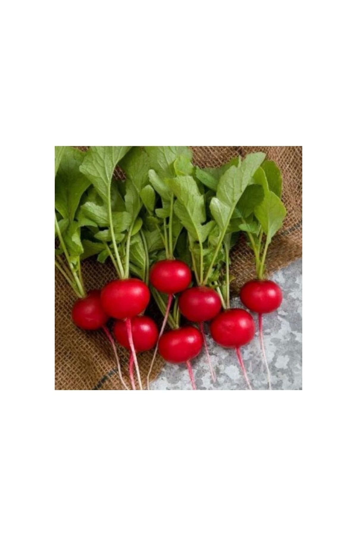 Agrokar Fındık Turp 10 gr