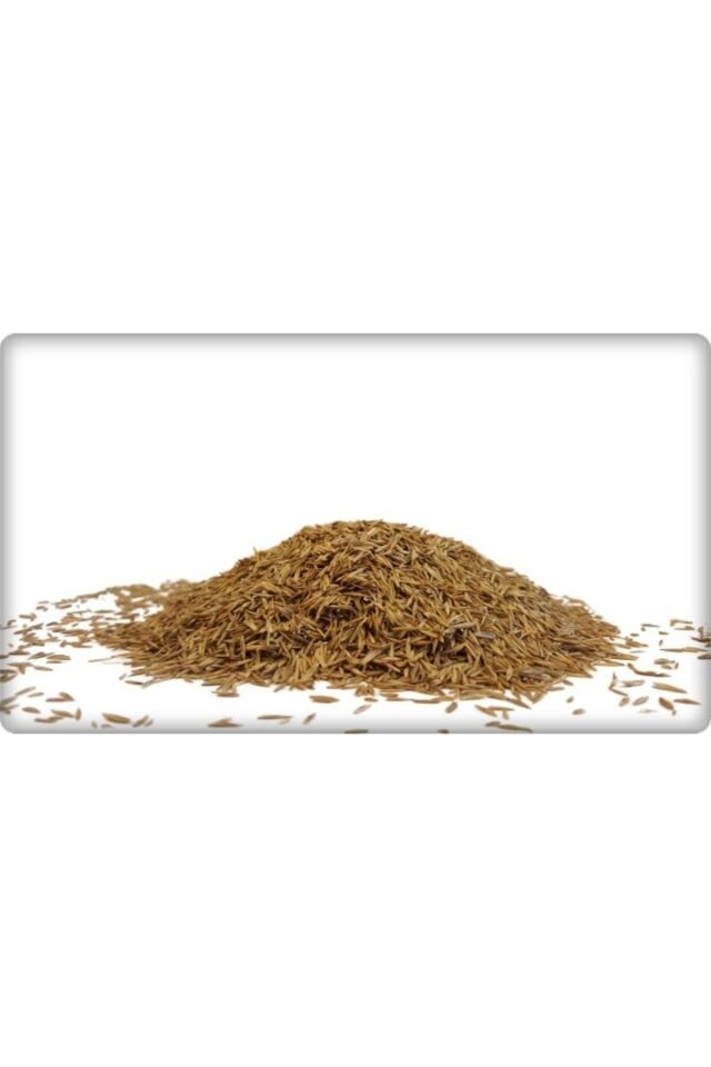 Gazan D'or 6s Karışım Symrna Çim Tohumu (10 KG)