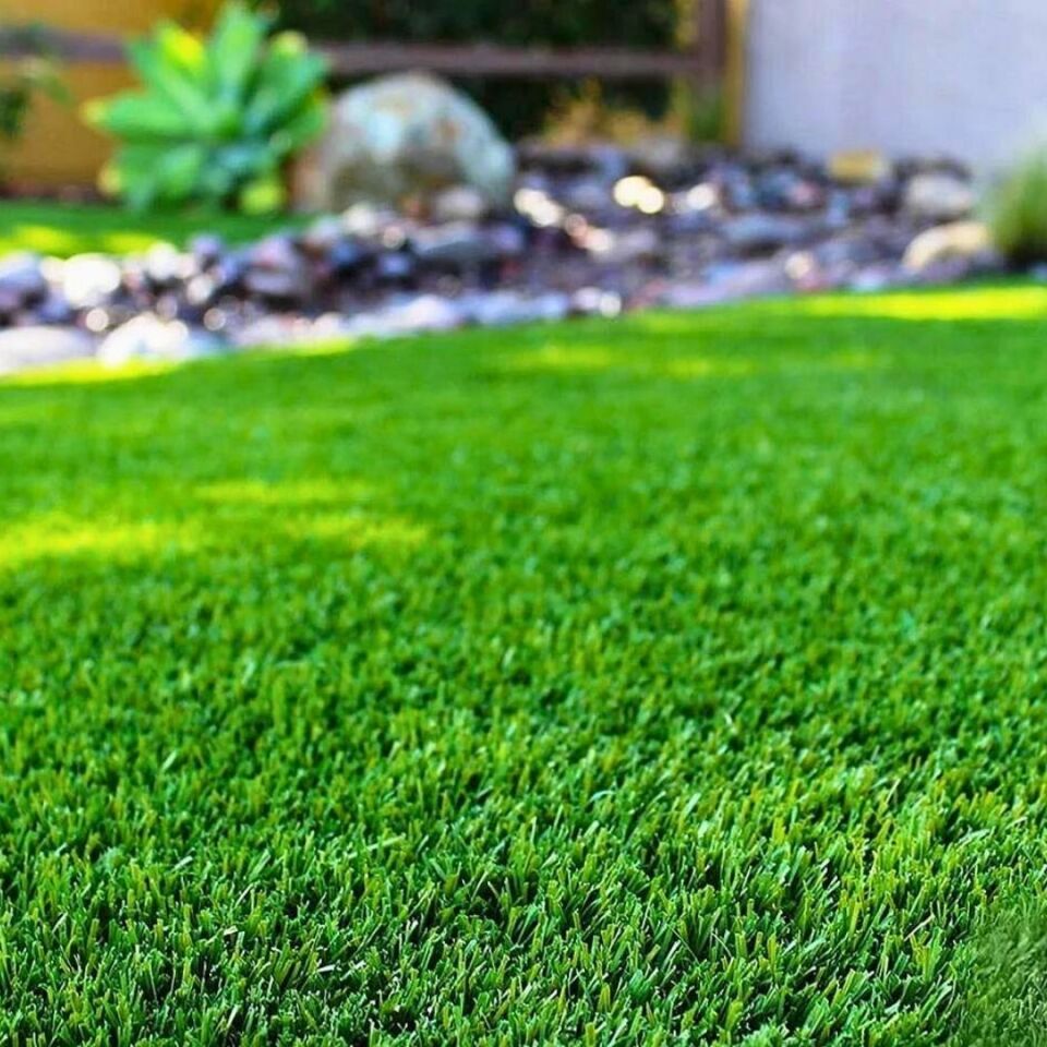 Güzel Görünüm Çim Tohumu 1 Kg