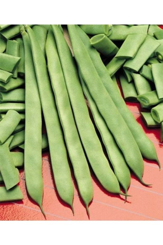 Fasülye Tohumu Gına Tipi Ipliksiz Oturak Fasulye Taze Fasulye 250 Gr