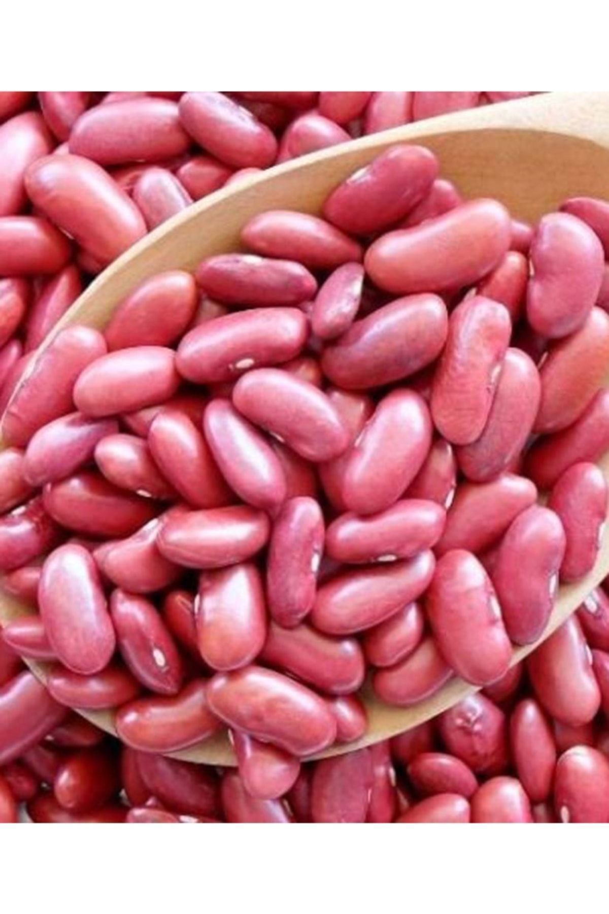 Fasülye Tohumu Gına Tipi Ipliksiz Oturak Fasulye Taze Fasulye 250 Gr