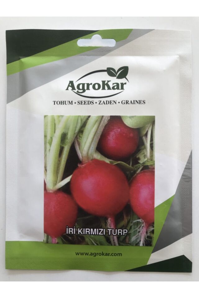 Tohum Iri Kırmızı Turp Tohumu