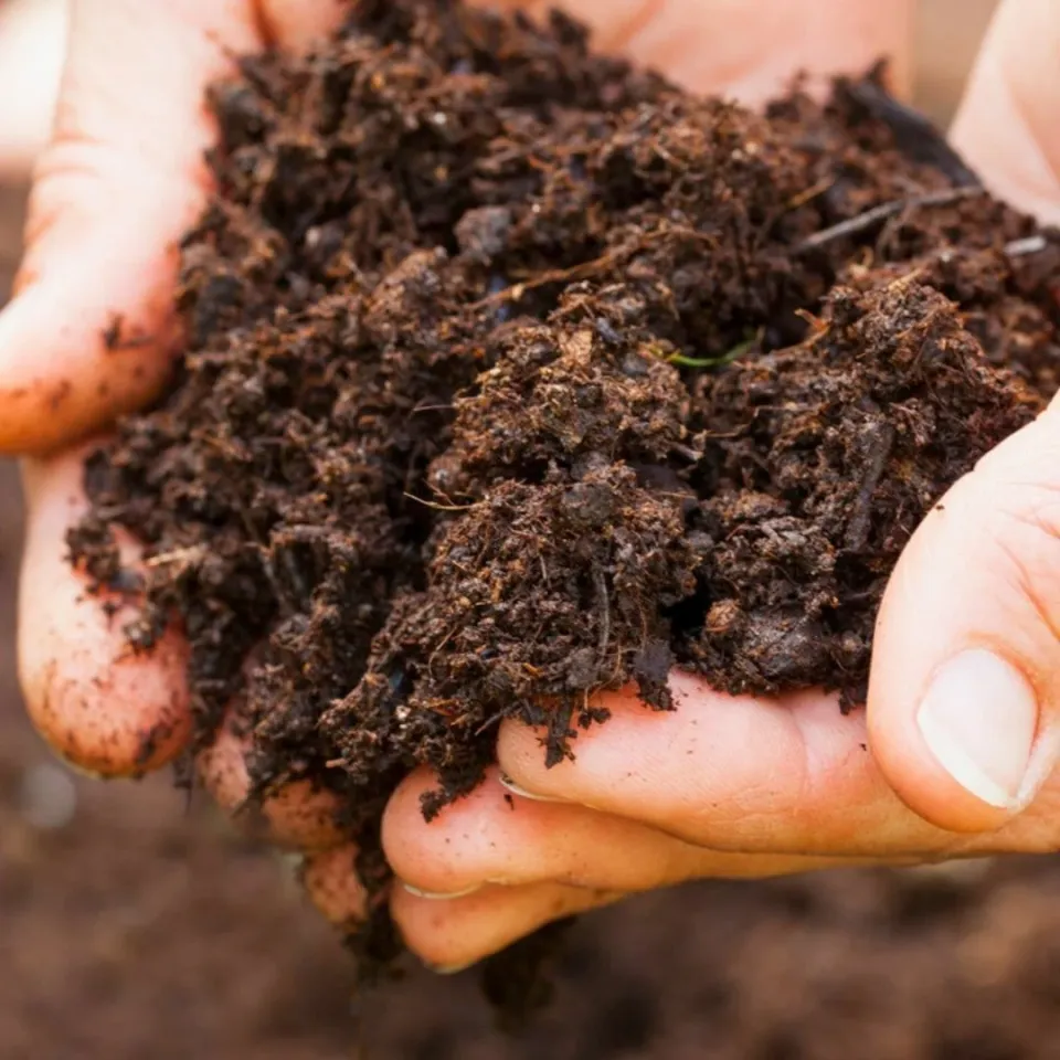 Genel Kullanım Torfu Saksı Toprağı 5 Lt