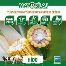 Hido Silajlık Mısır Tohumu (50000 TOHUM) 2025