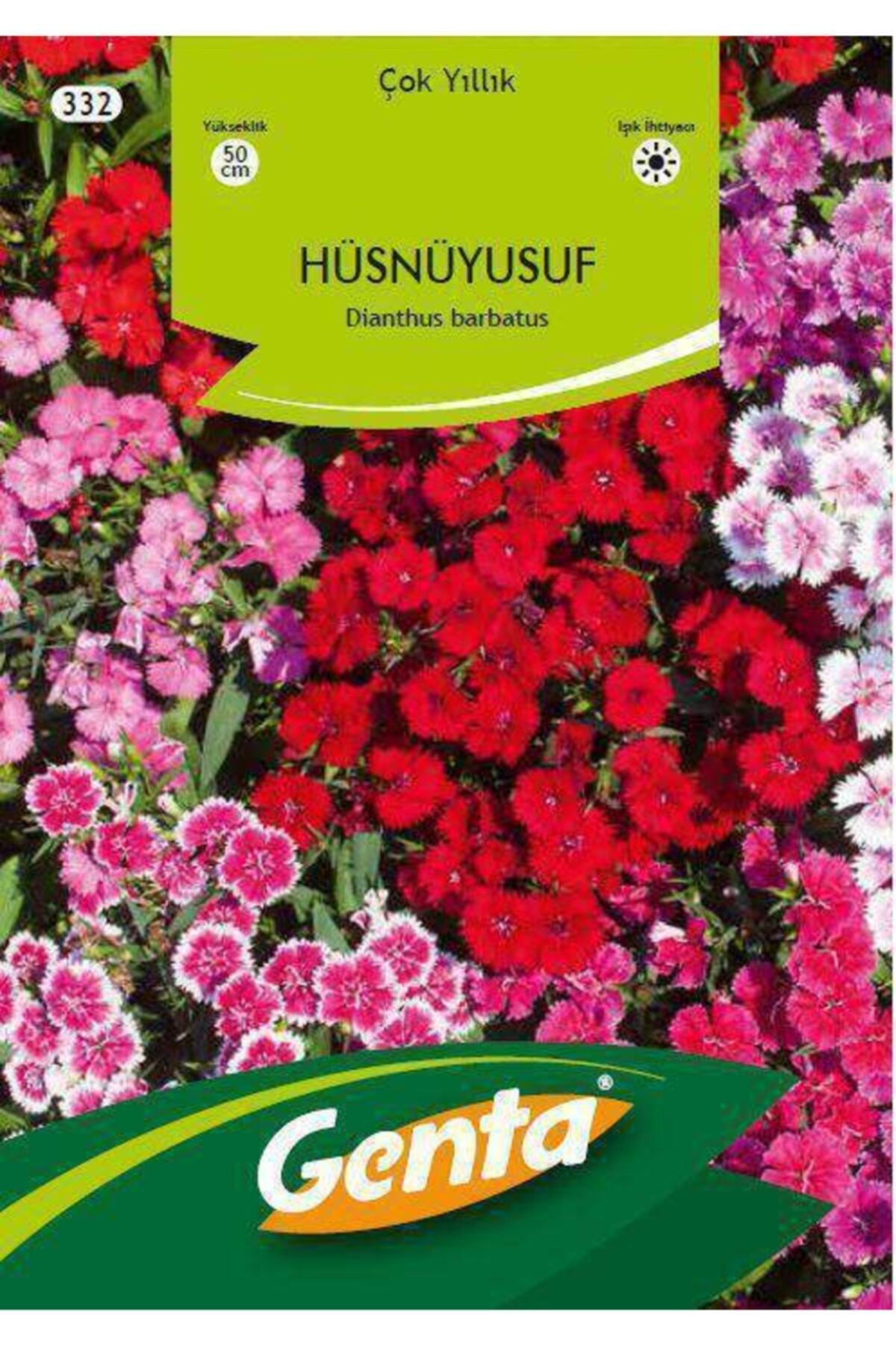 Hüsnüyusuf Çiçeği Tohumu