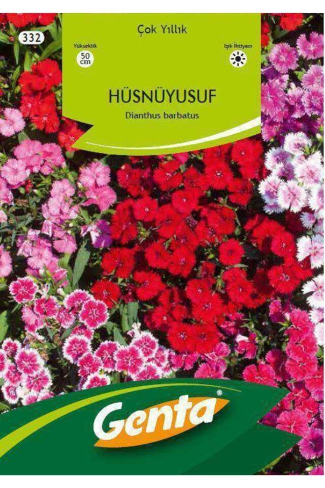 Hüsnüyusuf Çiçeği Tohumu