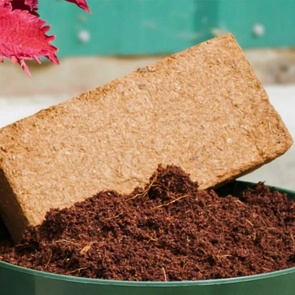 Genta Cocopeat Sıkıştırılmış Torf 5 Lt