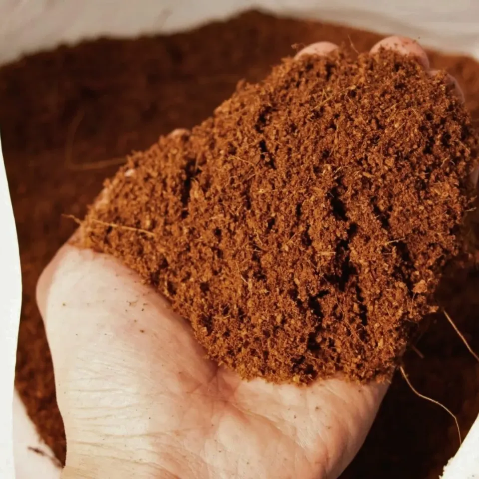 Genta Cocopeat Sıkıştırılmış Torf 5 Lt