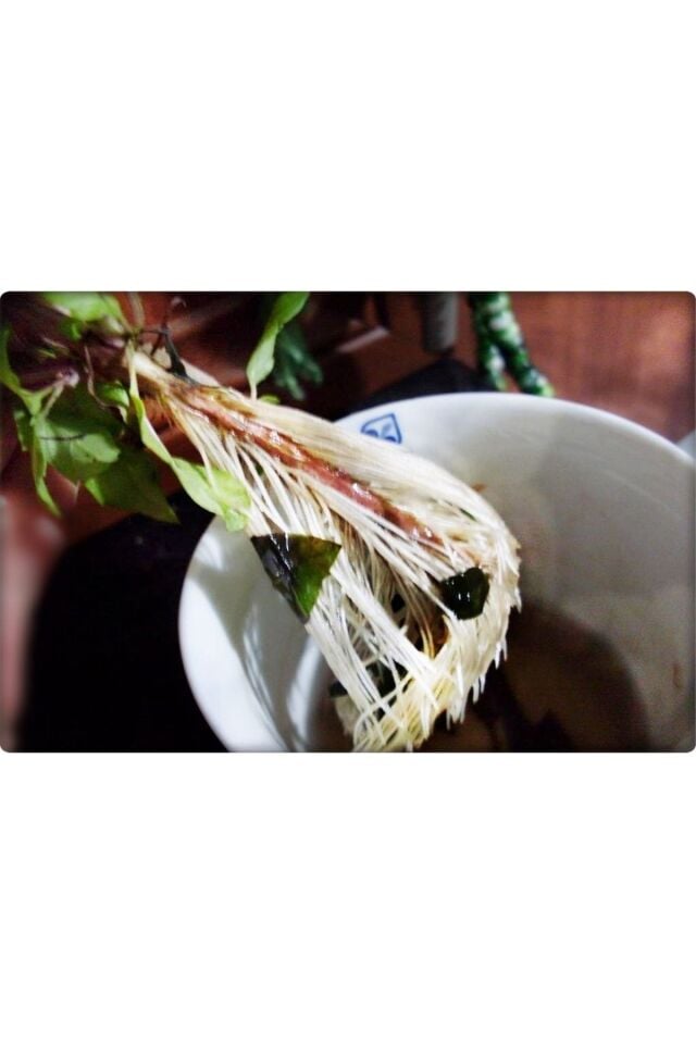 Köklendirici Hormon Indol Butirik Asit (50 GR) Elfer Root