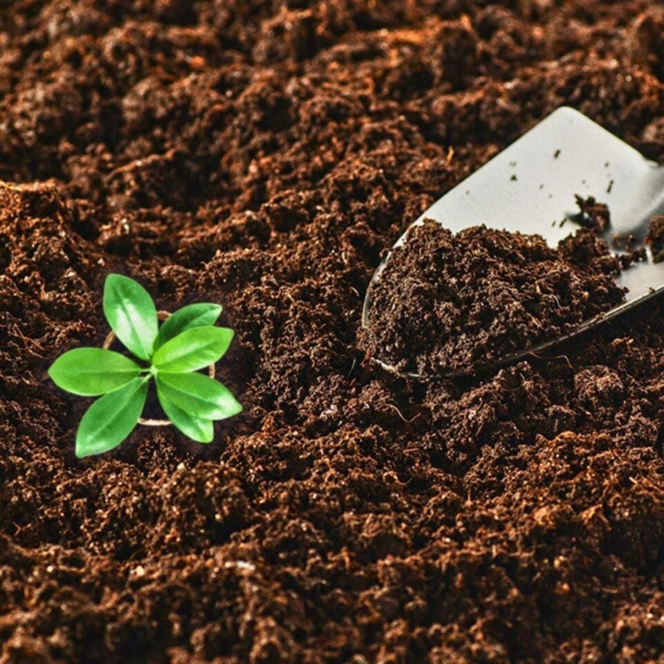 Genta Genel Kullanım Torfu Saksı Toprağı 20 Lt