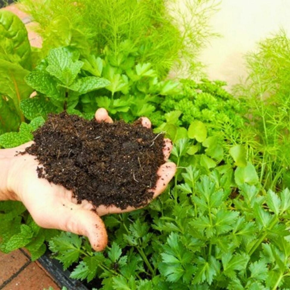 Genta Genel Kullanım Torfu Saksı Toprağı 20 Lt