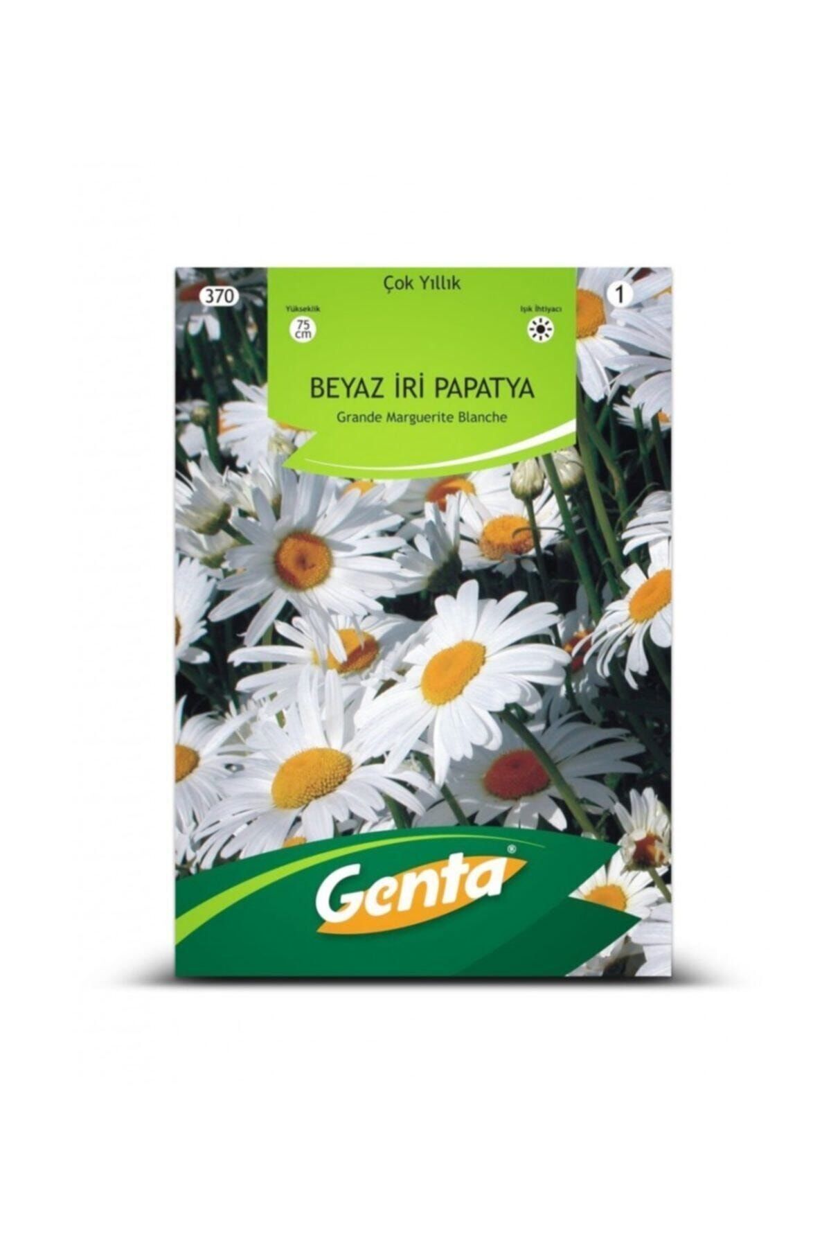 Çiçek Tohumu Beyaz Iri Papatya G370