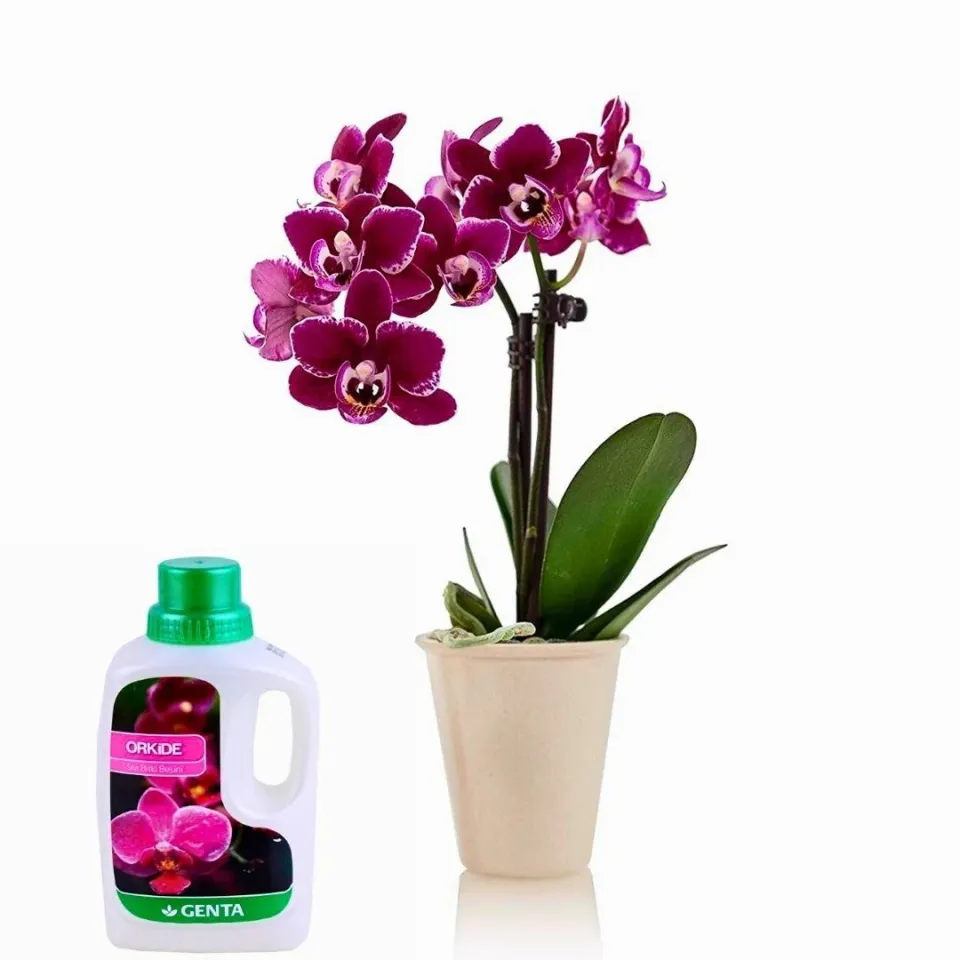 Genta Orkide Sıvı Bitki Besini Sıvı Gübre 500 ml
