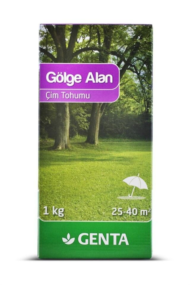 Gölge Alan Çim Tohumu 1 Kg