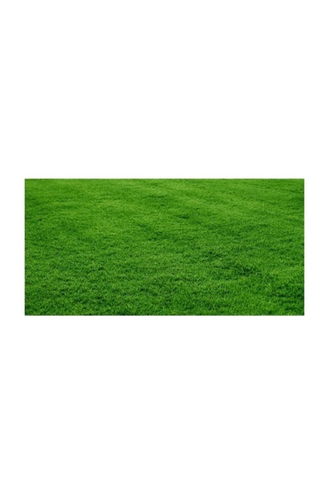 Çim Tohumu 1 Kg