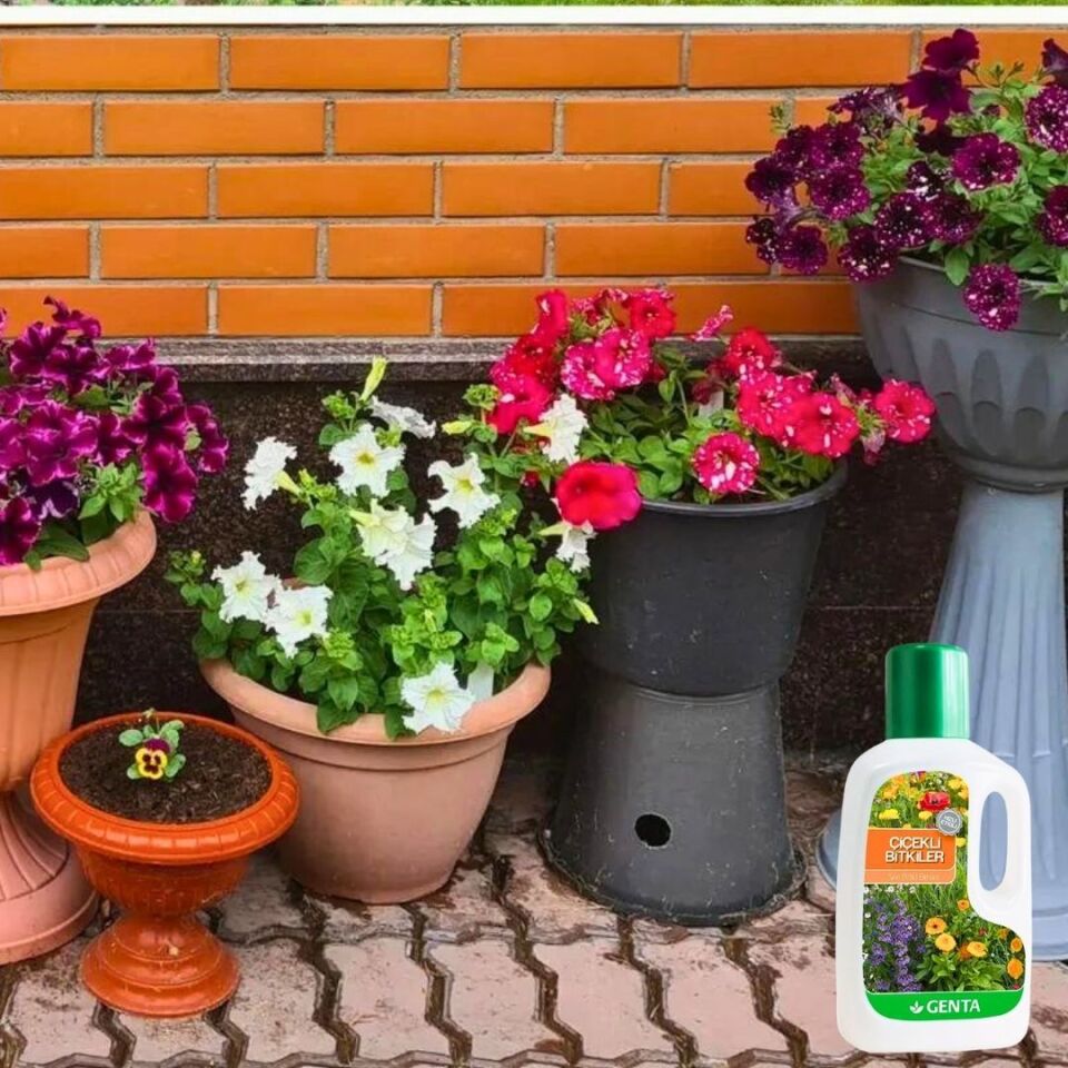 Çiçekli Bitkiler Için Sıvı Besin 500 Cc