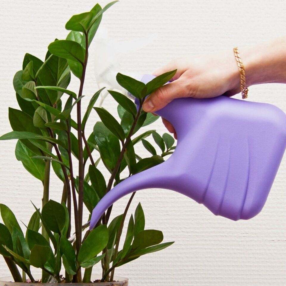 Genta Yeşil Yapraklı Bitkiler Için Sıvı Besin 500 ml