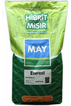 May tohum Everest Mısır Tohumu