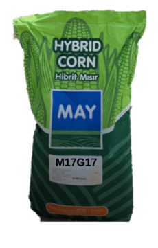 May Tohum M17G17 Mısır Tohumu