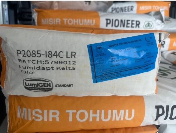 Pioneer Tohum 2085-Standart- 50000 ad/pk