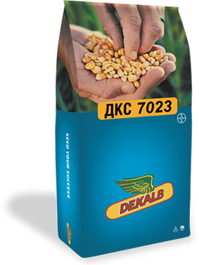 Dekalp DKC7023 Mısır Tohumu