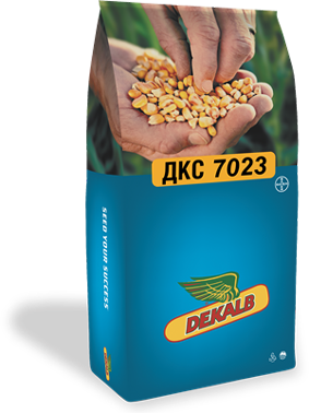 Dekalp DKC7023 Mısır Tohumu