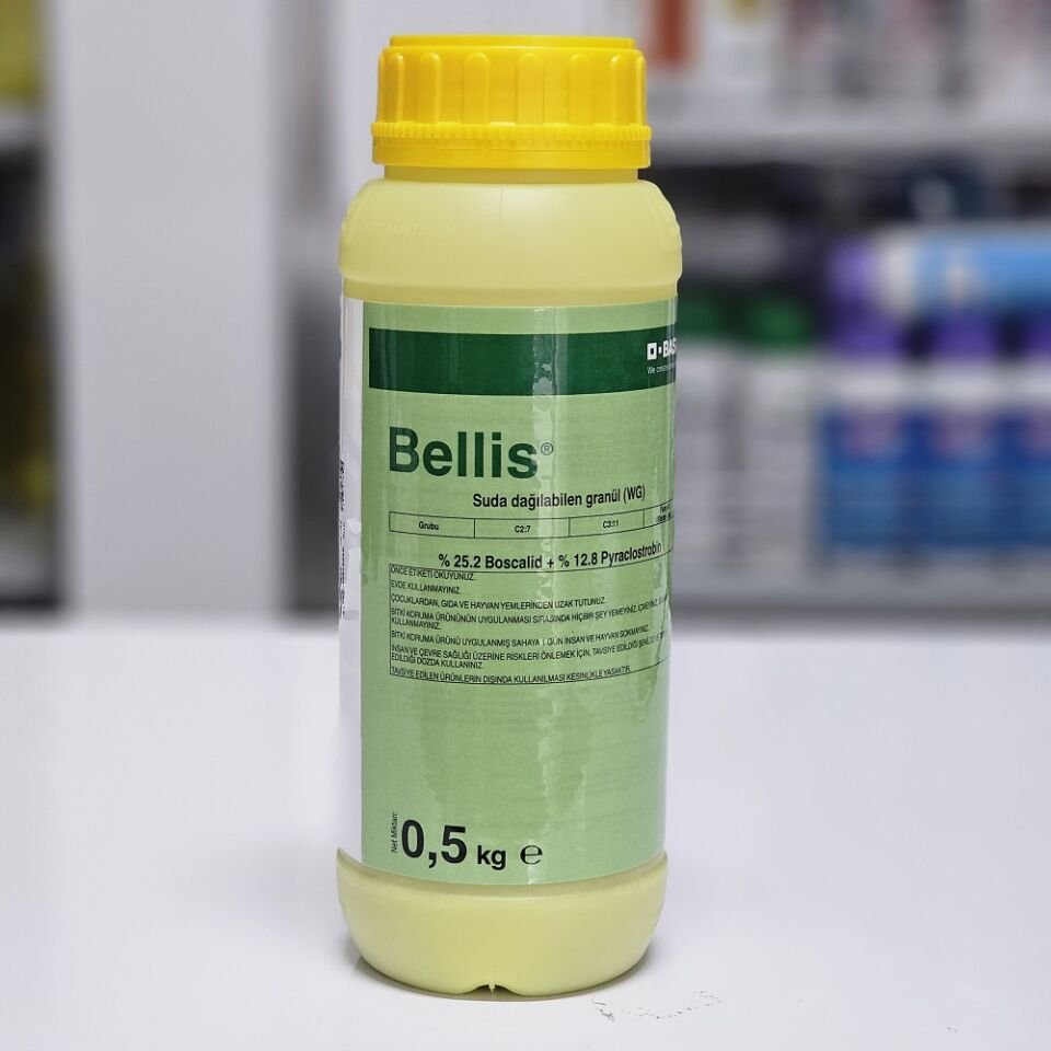 Bellis Karaleke Külleme Monilya İlacı Fungusit