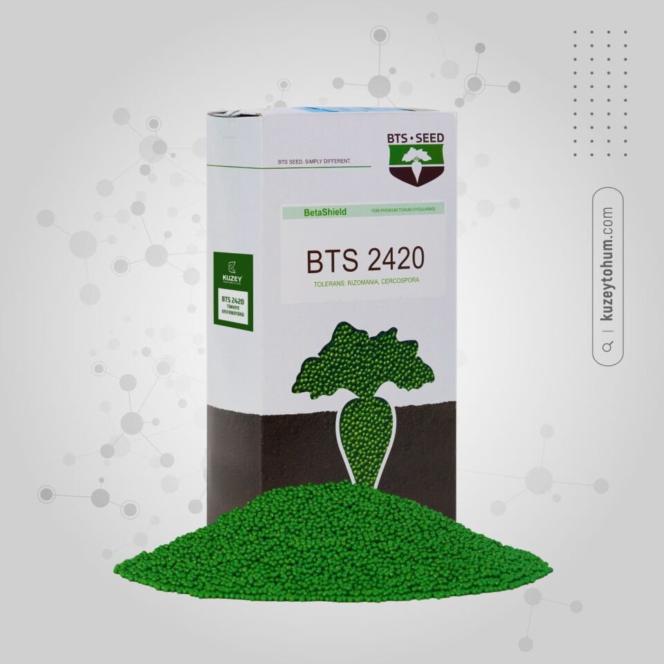 BTS 2420 Şeker Pancarı Tohumu Kaplamalı