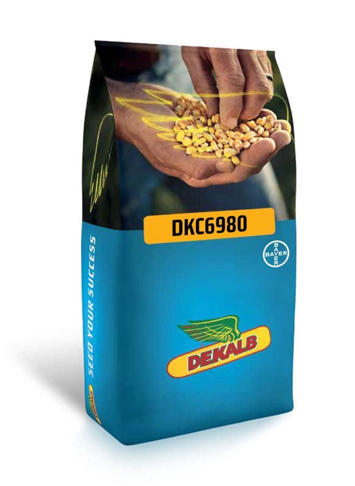 Dekalp DKC 6980 Standart Mısır Tohumu