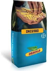 Dekalp DKC 6980 Standart Mısır Tohumu
