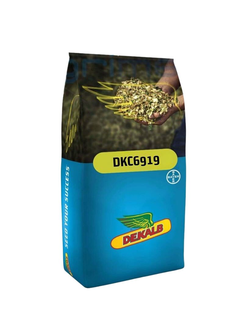 Dekalb DKC 6919 Mısır Tohumu (Standart)