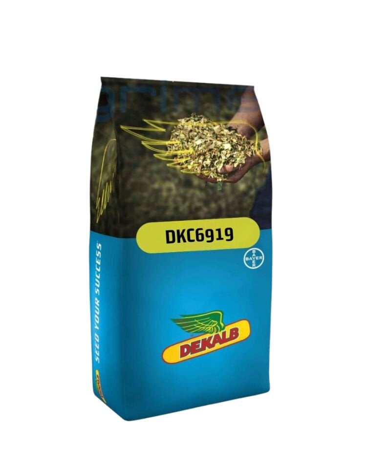 Dekalb DKC 6919 Mısır Tohumu (Standart)