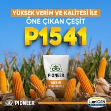 Pioneer Tohum P1541 Mısır Tohumu Çift İlaçlı 50000 ad/paket