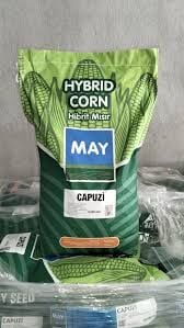 May Tohum Capuzi Mısır