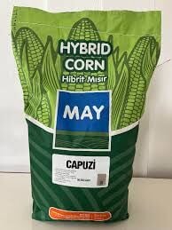May Tohum Capuzi Mısır